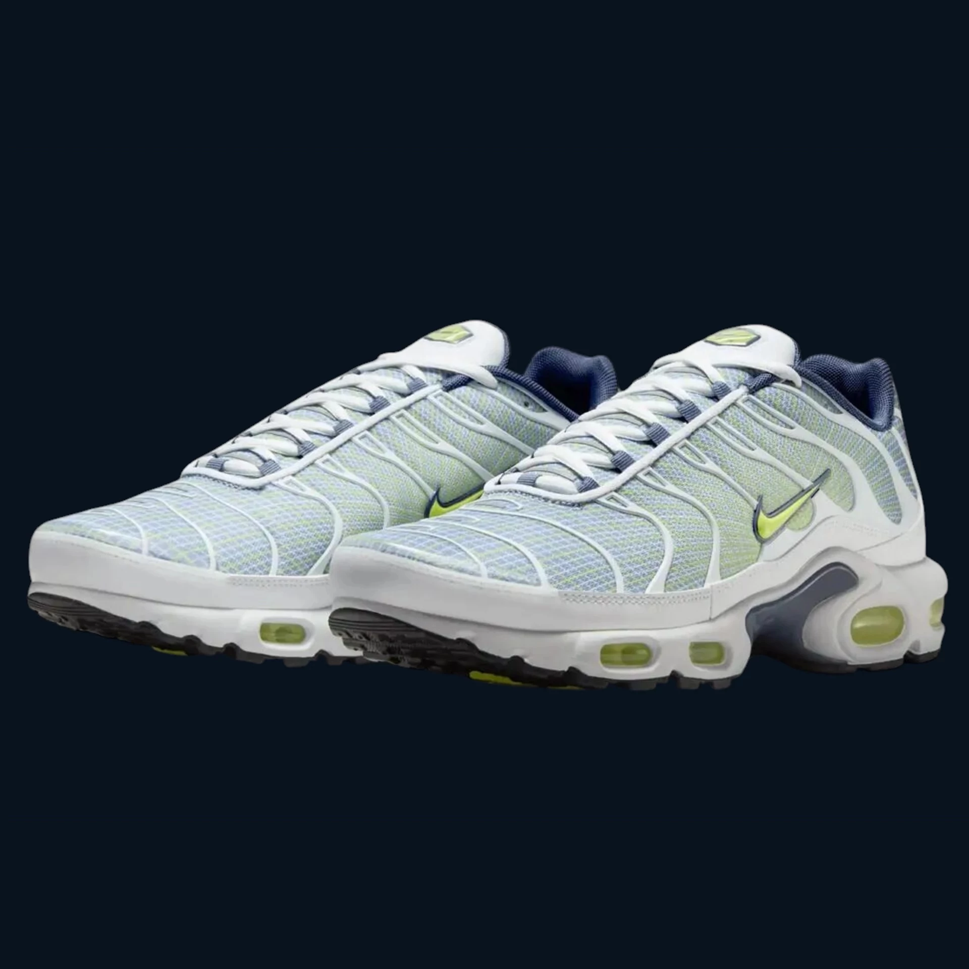 Nike Air Max Plus "Wave Grid" [40]