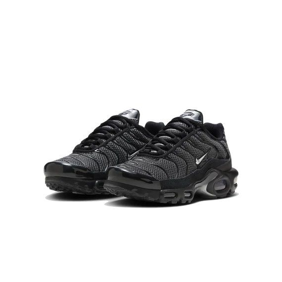 Nike Air Max Plus "Black Suede Silver"